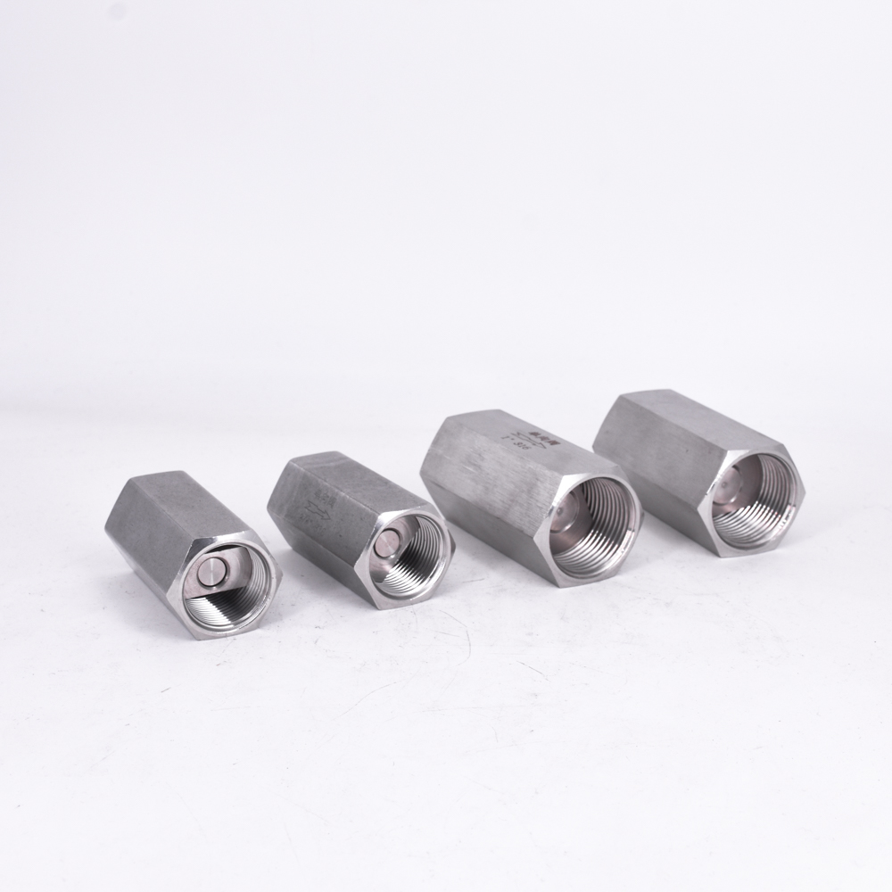 1/8" 1/4" 3/8" 1/2" 3/4" 1" BSP Female Hex One Way Check Valve Non-Return Inline 304 316 Stainless Steel
