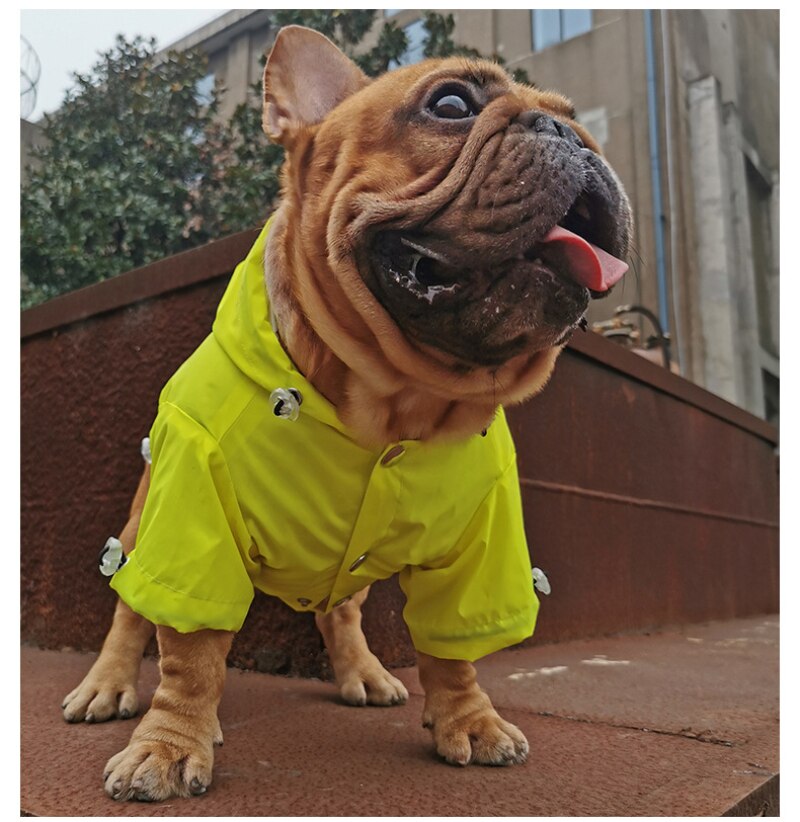 Hund regnjacka reflekterande vattentäta kläder för hund regnjacka pudel schnauzer mops fransk bulldog kläder corgi kostym outfit