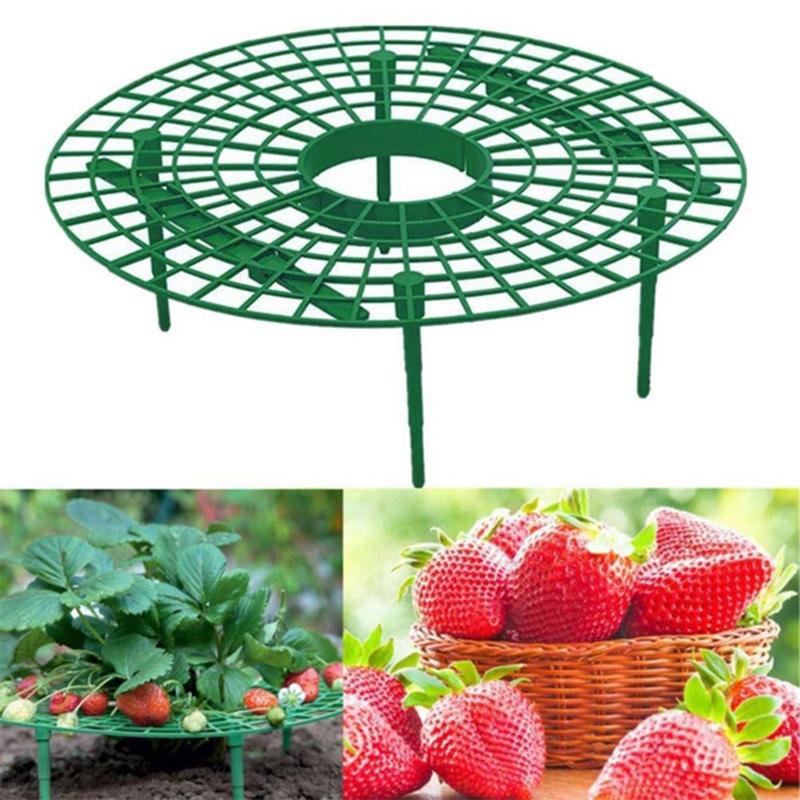 Aardbei Stand Groente Fruit Plank Plant Bloem Klimmen Wijnstok Pijler Tuin Ondersteuning Plank Familie Balkon Tuinieren Tool
