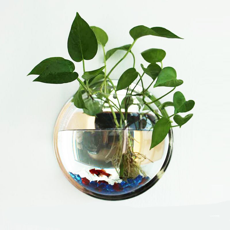 4 Size for Acrylic Fish Bowl Wall Hanging Aquarium Tank Aquatic Pet Supplies Pet Products Wall Mount Fish Tank for Betta Fish