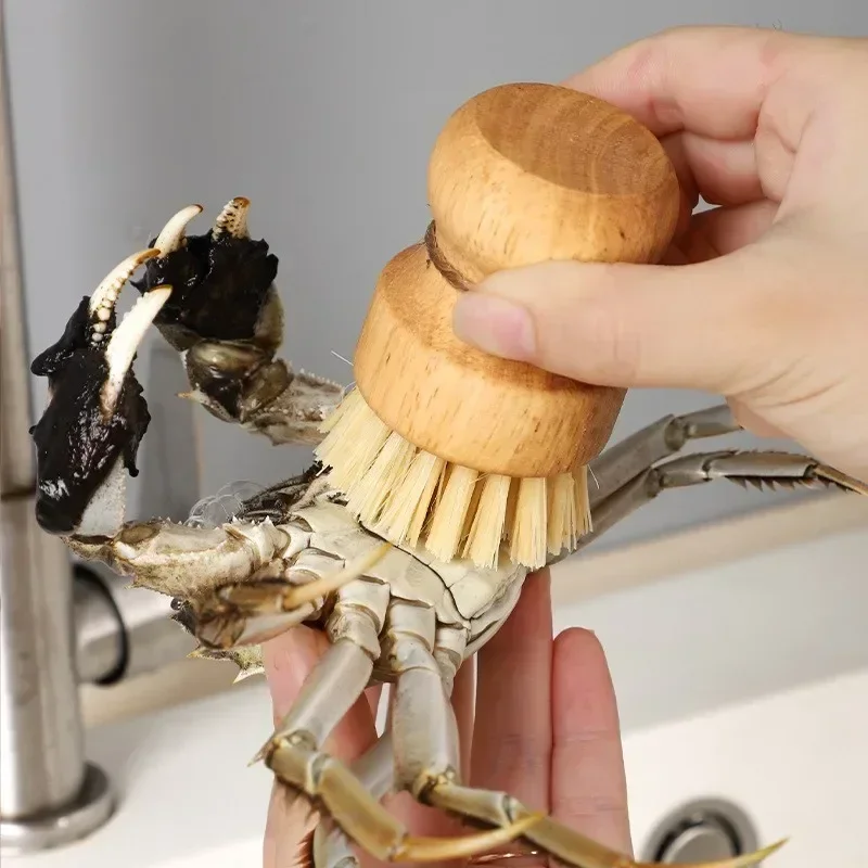 Brosse à vaisselle de cuisine avec manche en bois et noix de coco en sisal, outils de nettoyage multifonctions, brosse à récurer