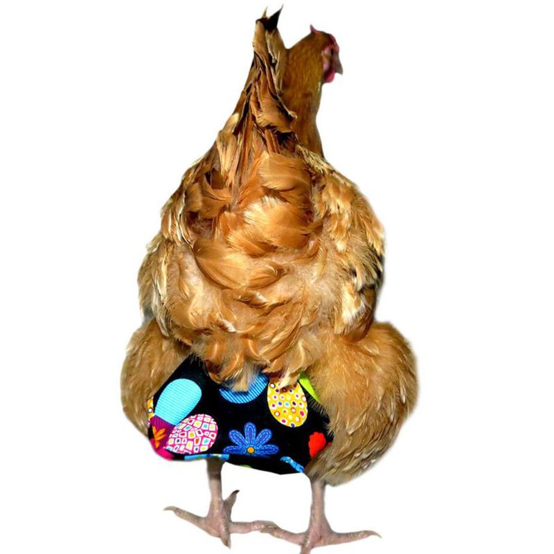 Couche pour animaux de compagnie lavable Portable Portable volaille couche canard poule oie Pigeon couche défécation positionnement Carapace S/M/L