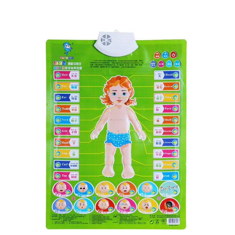 New1 Learning Machine Sound Wall Chart Electronic Alphabet English Preschool Toy Digital Baby Kid Educational Toy: 13