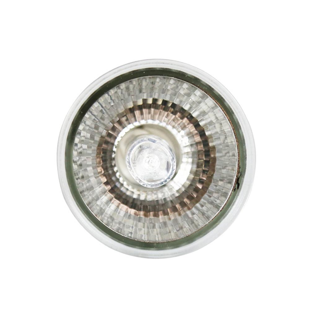 UVB 3.0 Reptile Lamp Bulb Turtle Basking UV Light Bulbs Heating Lamp Amphibians Lizards Temperature Controller: 75w