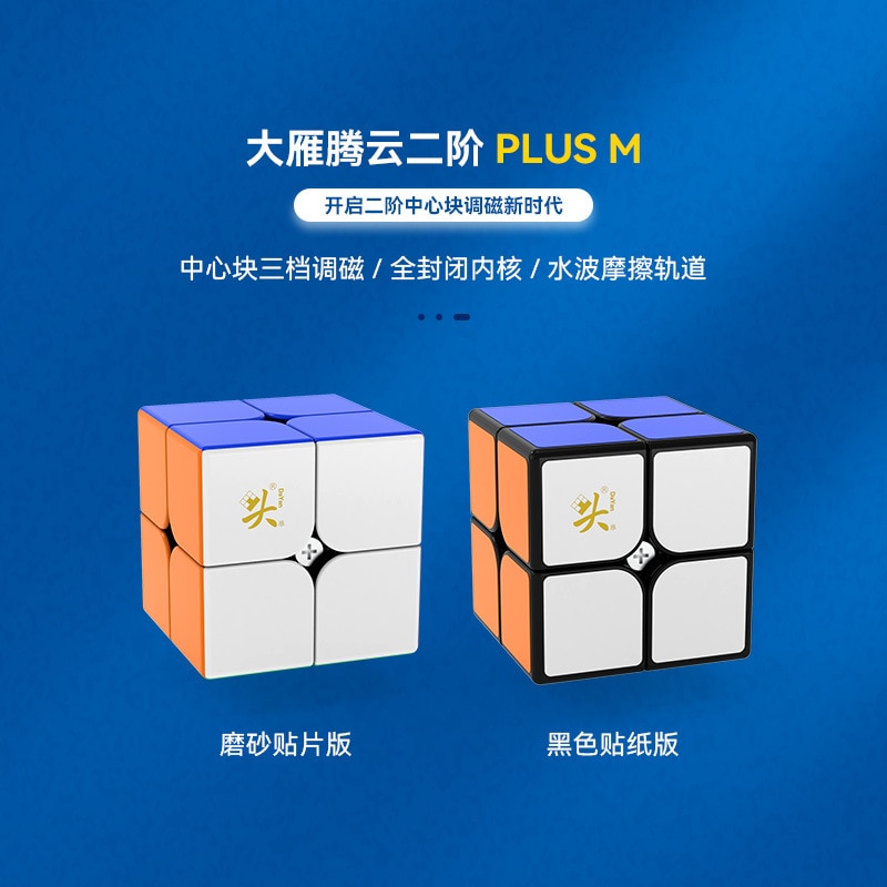 Dayan Tengyun 2X2 Plus M Magnetische Cubo Magico Educatief Speelgoed Idee
