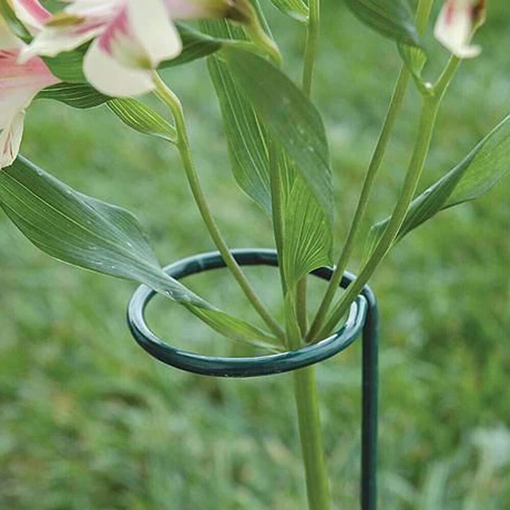 Plant Support Stakes For Flowers Metal Single Stem Plant Support Garden Plant Stakes For Amaryllis Orchid Lily Rose Tomatoes