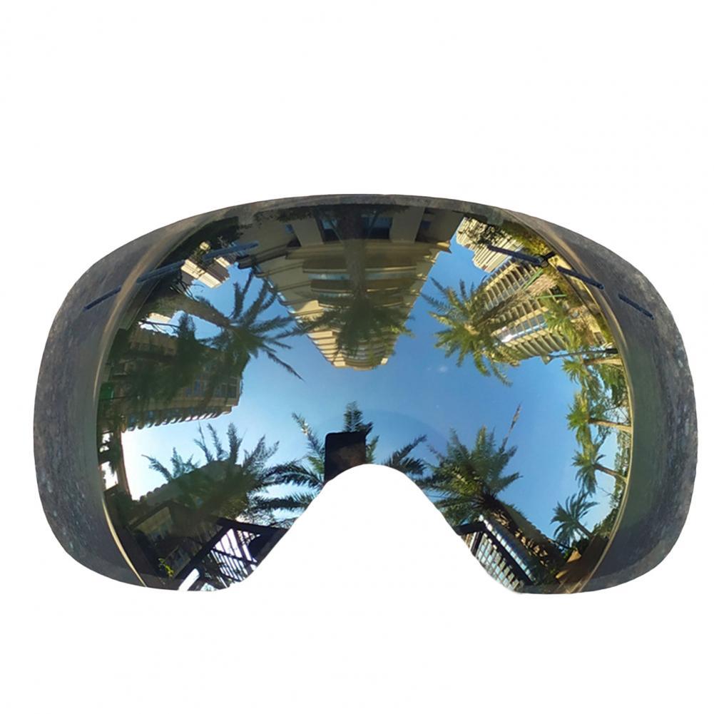 1Pc Useful Winter Goggles Lenses Double-layer Windproof Snow Blindness Proof Winter Anti-Fog Snow Ski Glasses Lenses: Grey