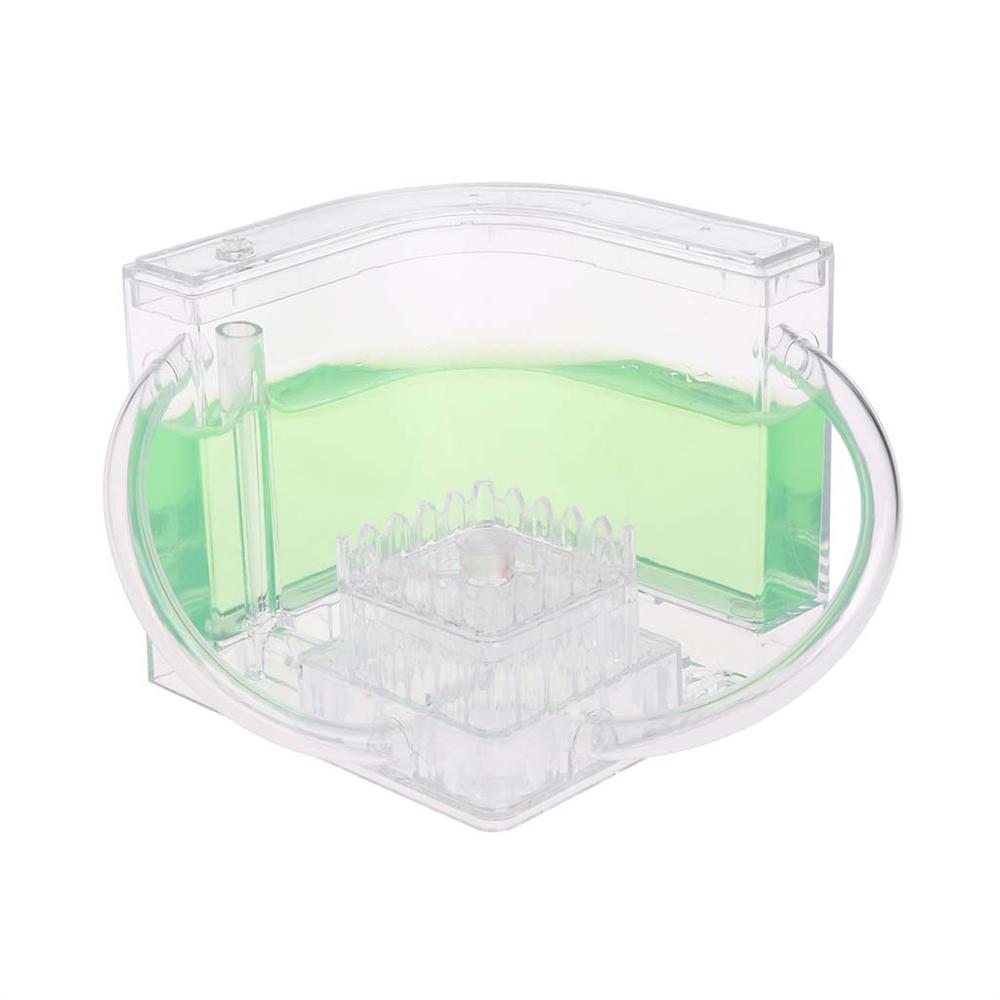 3D Ant Farm Educational Maze Live Feeding System Ants Habitat World Pet Villa 67JB: green