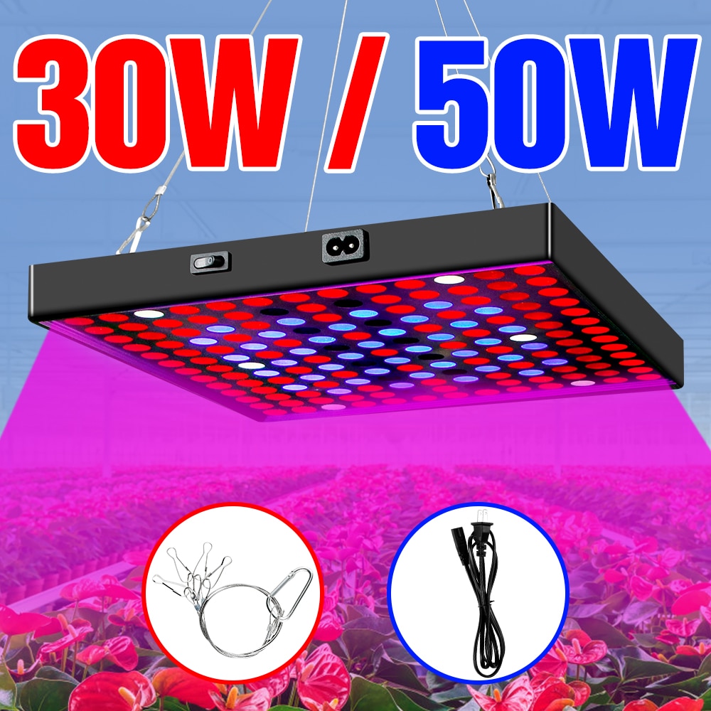 SPSCL 30W 50W LED Full Spectrum Light LED Plant Lamp 220V Grow Light 110V EU US UK Plug Flower Seed Greenhouse Lamp Phytolamp