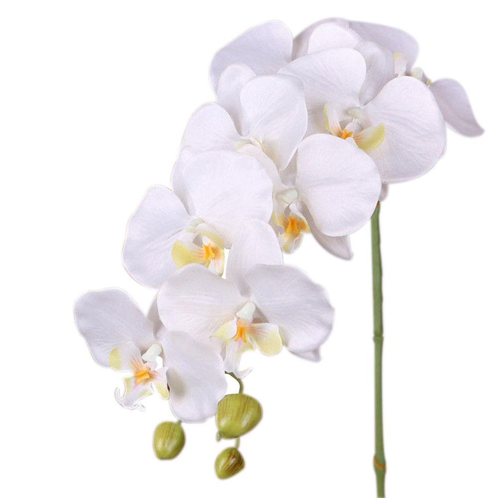 Vlinder Orchidee Zijde Bloem Boeket Phalaenopsis Bruiloft Home Decoratie Tuin Zijde Bloem Restaurant: A