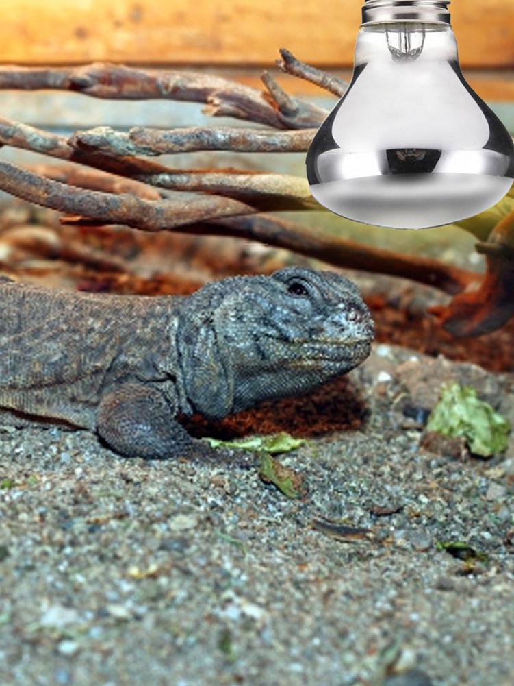 E27 eu krybdyr varmelampe 50w 100w 220-240v varmeafgiver lampe pære til små dyr krybdyr kæledyr skildpadder slanger firben pære