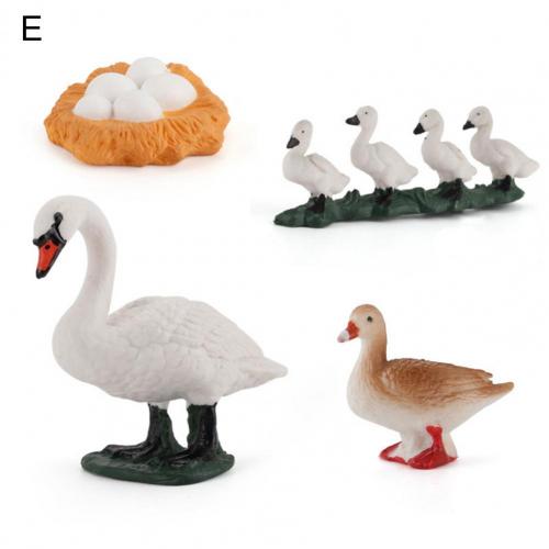 Kip Eend Gans Zwaan Groei Cyclus Simulatie Gevogelte Speelgoed Thuis Bureau Ornament Home Desk Ornament Simulatie Gevogelte Speelgoed: E