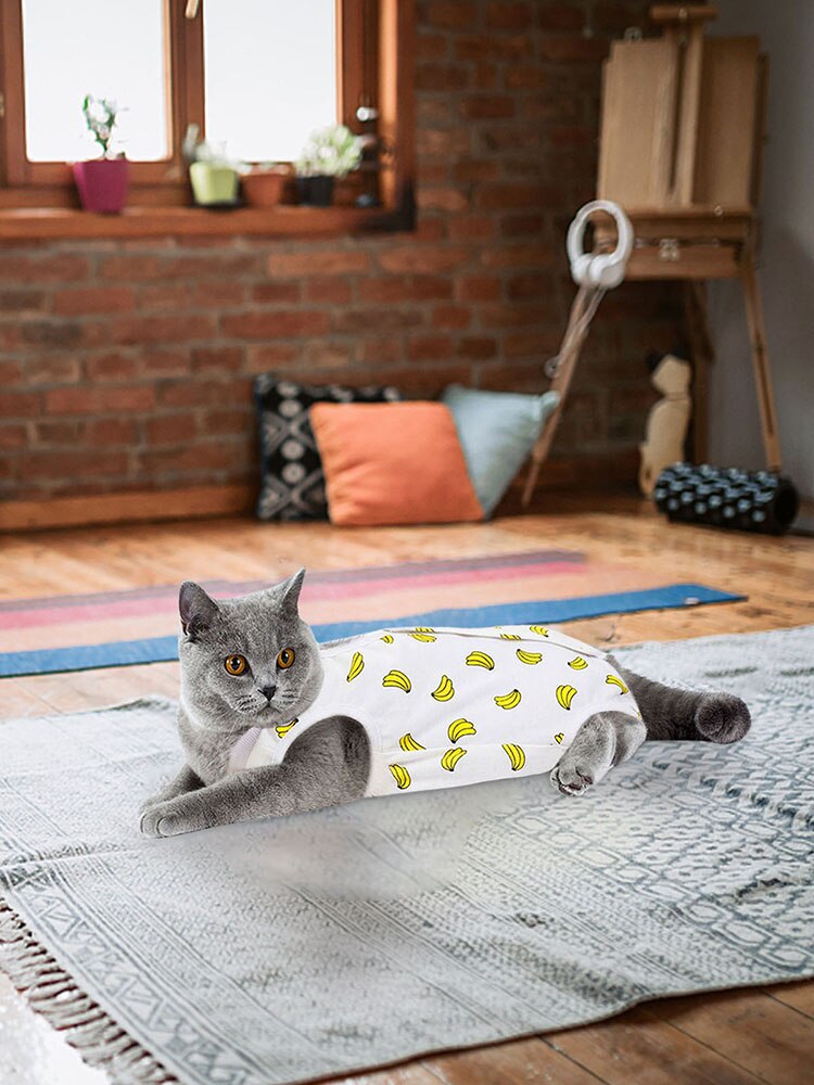 Dog Cat Surgery Recovery Suit For Abdominal Wounds Skin Diseases