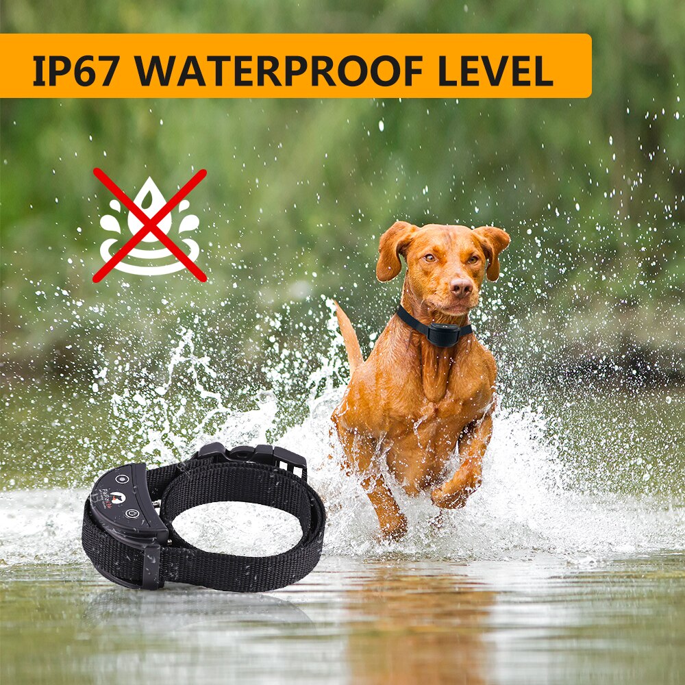 No Shock Dog Training Collar with Remote Rechargeable and Waterproof