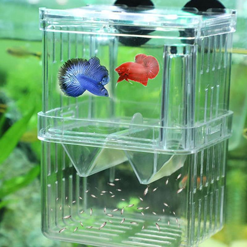Large Acrylic Fish Breeding Box Aquarium Breeder Box Double Guppies Hatching Incubator Isolation Aquarium Pet Supplies Tools S/L