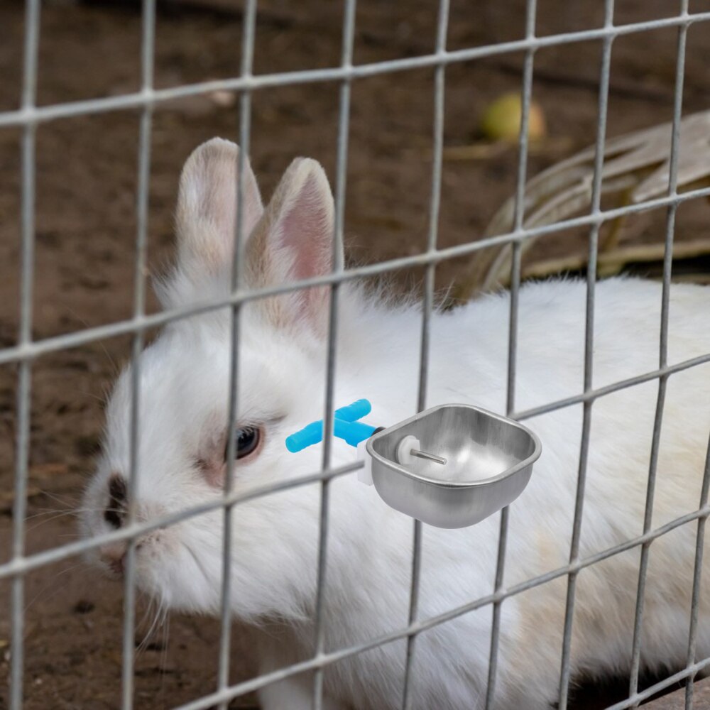 5pcs Poultry Water Container Rabbit Water Bowl Stainless Steel Water Dispenser