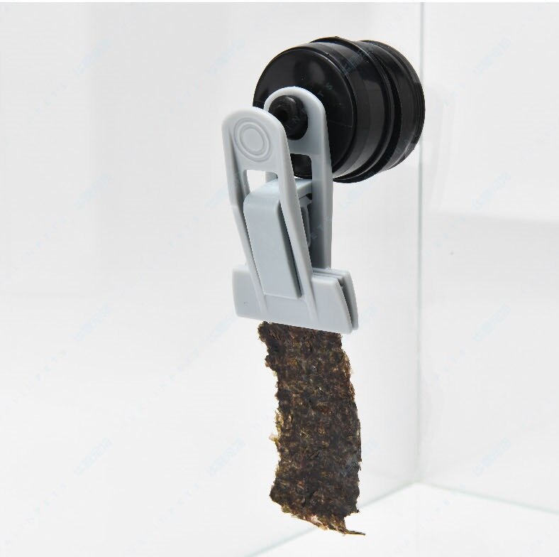 Pecera vastocea de cristal de 0-15mm, fuerte pinza magnética para alimentación de algas marinas, clip para verduras, suministros para acuario
