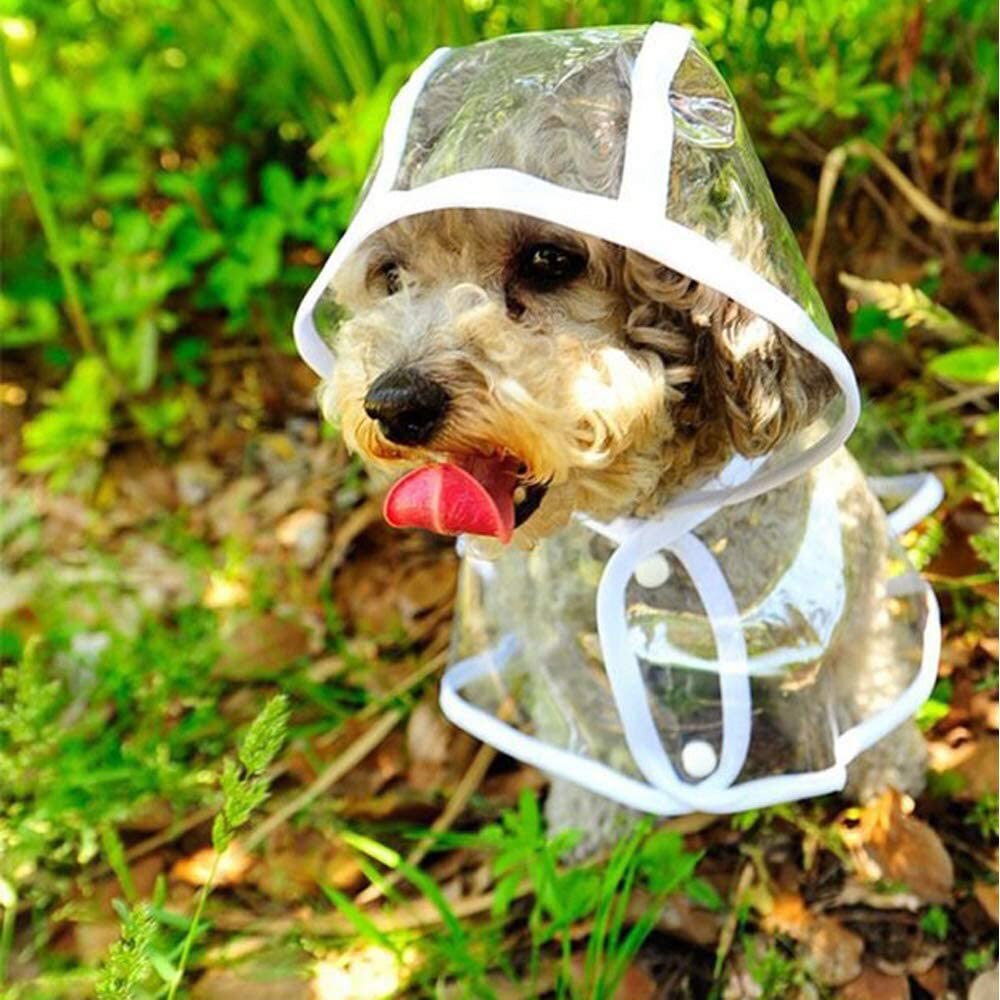 PVC Dog Raincoat Poncho Transparent Waterproof Pet... – Grandado