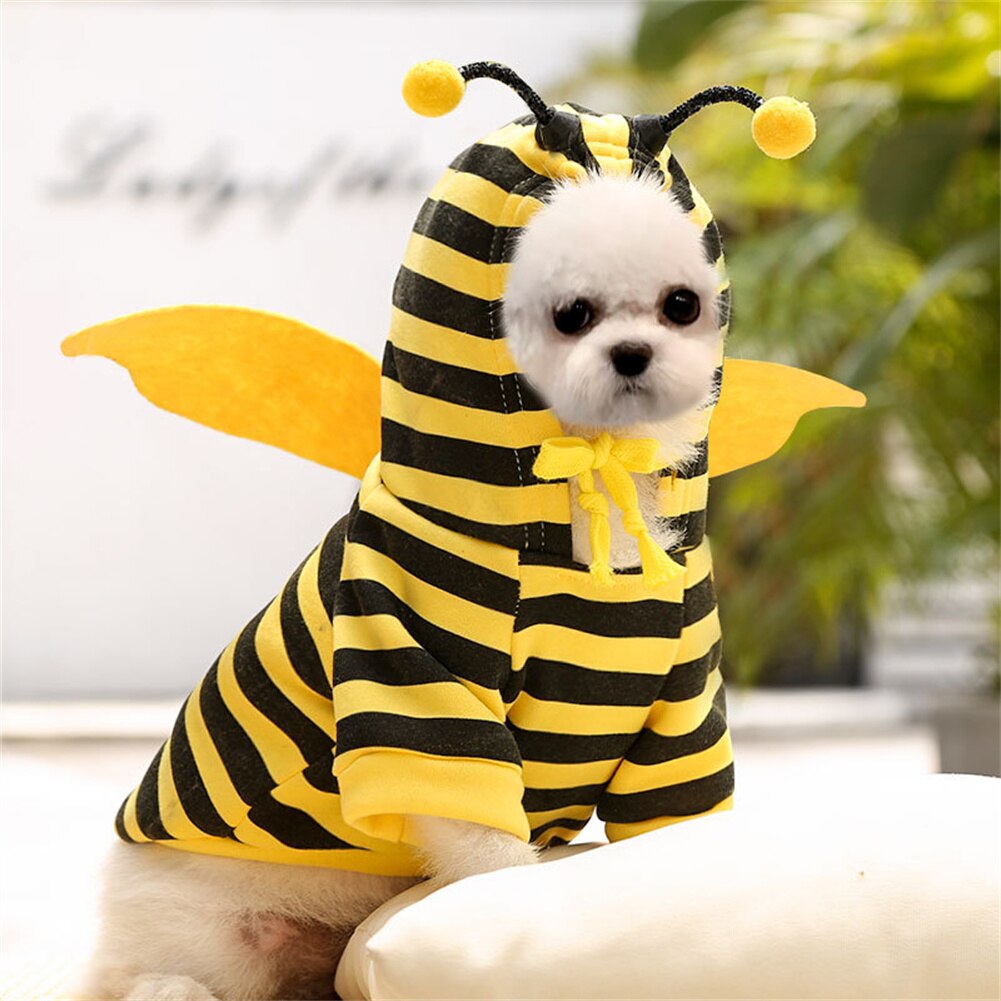 Ropa cómoda con dibujos animados para perro, sudaderas con capucha para perro, ropa para mascota pequeña, parodia con estampado de abejas, para Otoño e Invierno
