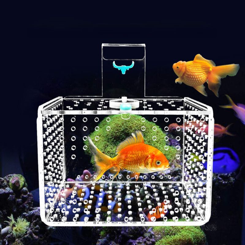 Acrylic Fish Tank Isolation Box Rearing Box Hanging Aperture 1mm / 3mm Home Aquarium Decor Fishes Transparent Clear Water Box