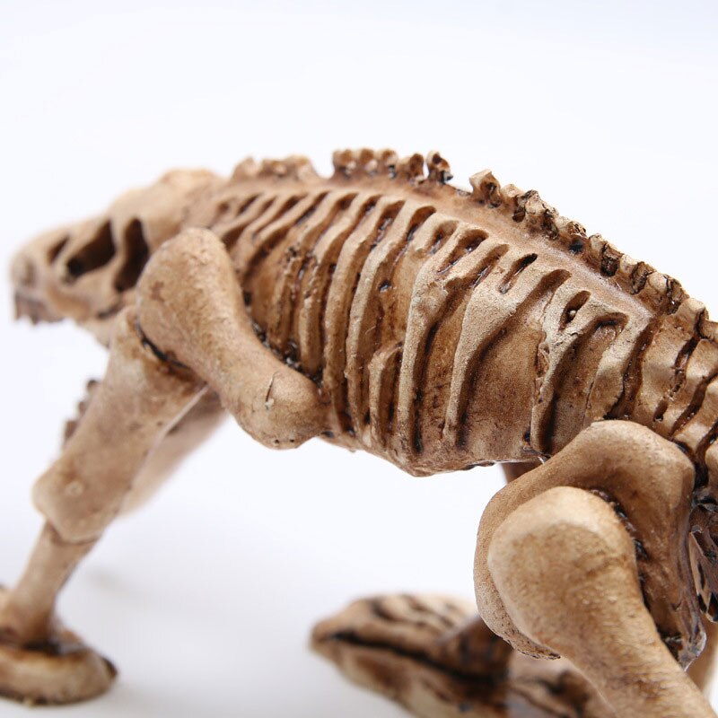 Simulatie Mini Dinosaurus Skelet Sculptuur Aquarium Landschap Decoratie Ornament Hars Dinosaurus Fossiel Decoratie Standbeeld Speelgoed