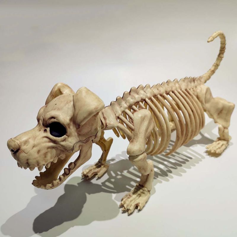 Halloween A Tema Partito Ornamenti Spaventoso in Piedi Scheletro canna Orribile infestato Casa disposizione di Scena Decorazione di oggetti di Scena