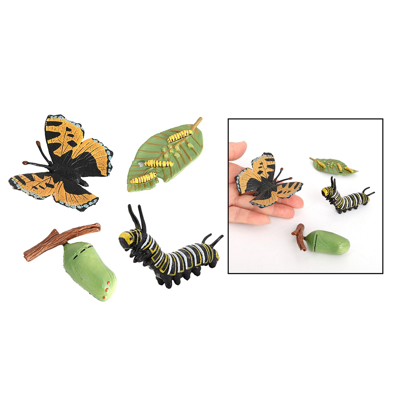 4 Piece Life Cycle Figures, Insects Plastic Butterfly Toy Figure - Authentic Hand Painted Model