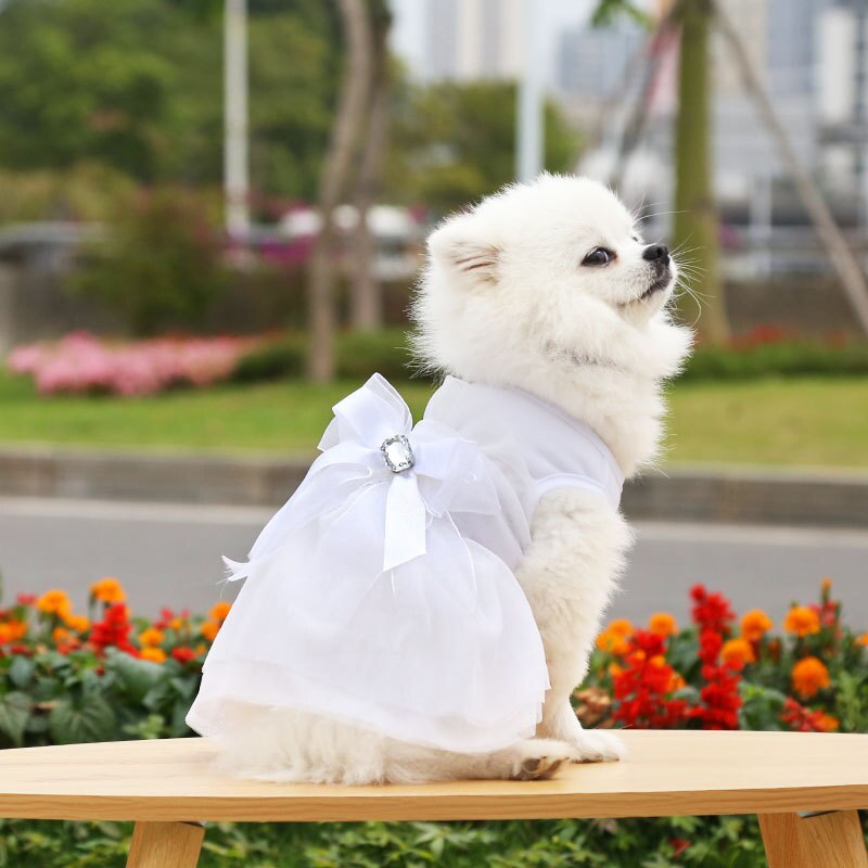 Sweet Pet Dress Cute Dog Wedding Dress Cat Princess Dress Sweet Bow Skirt Pet Supplies Bowknot Pet Dress Spring Summer Clothes