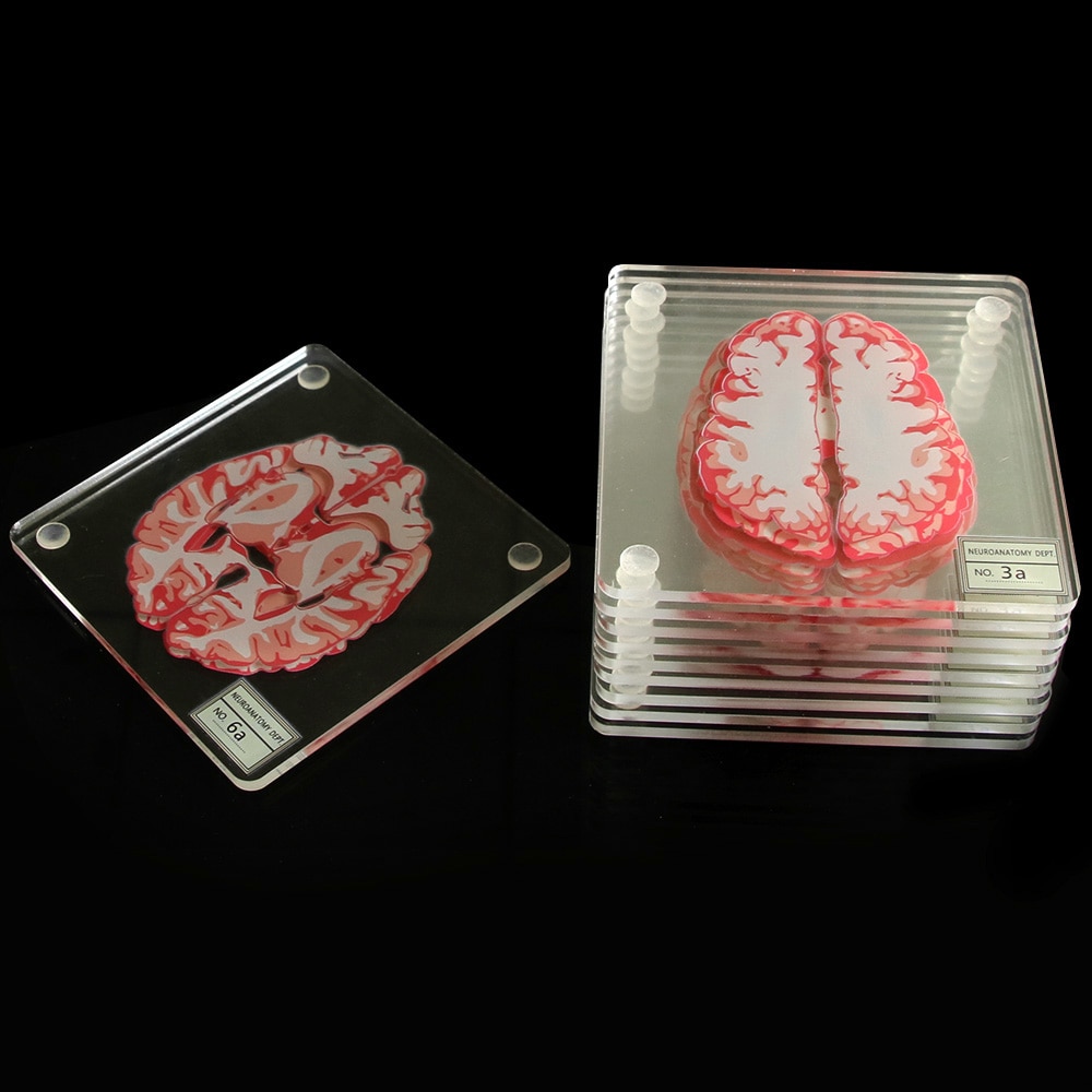 10Pieces/Set 3D Organ Brain Specimen Coasters Set Drinks Table Coaster Brain Slices Square Acrylic Glass Drunk Scientists