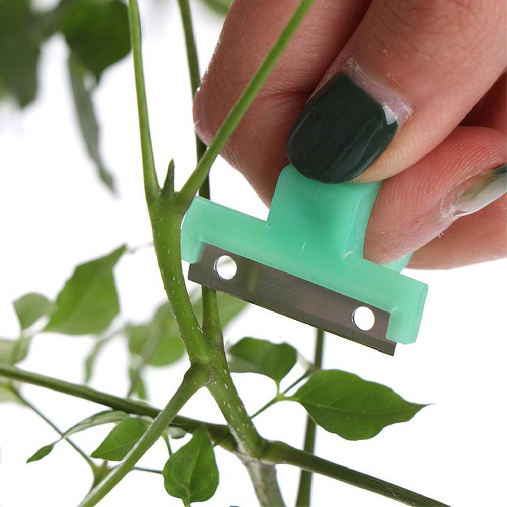 1 Pcs Groenten Picker Duim Ring Tomaat Komkommer Druif Fruit Hand Snijgereedschap Sharp Blade Snelle Picking Helper Voor Groente