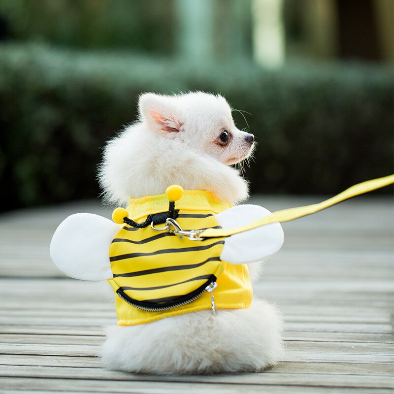 Leuke Bee Vest Hondenriem Hondenriem Hondenriem Hondenriem Teddy Dierbenodigdheden Borst Harnas Kat Ketting Kat Leiband