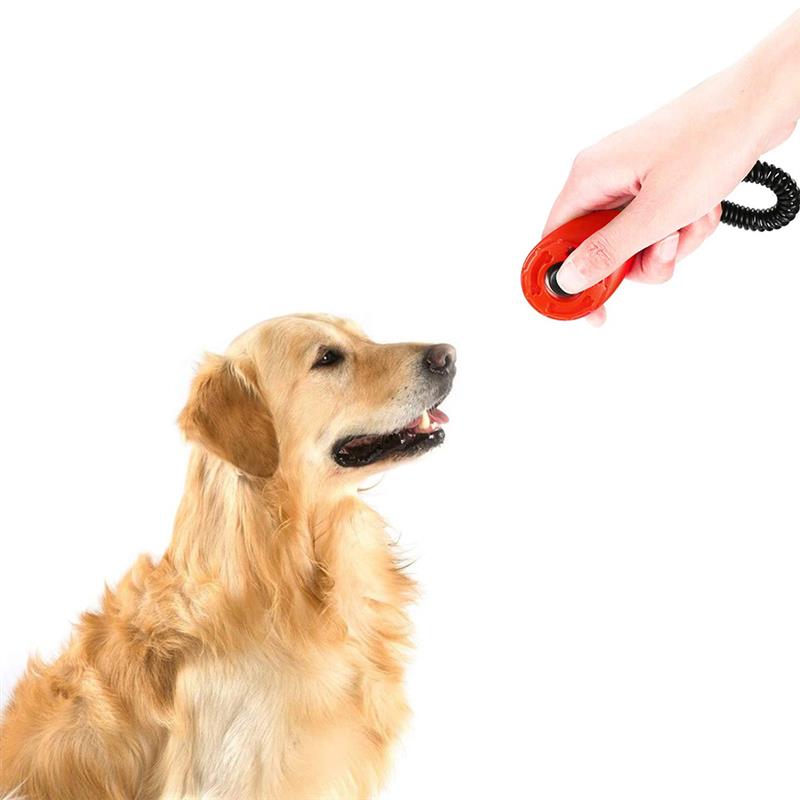 Dog Trainer Pet Training Dog Clicker Adjustable Lould Sound Key Chain Aid Wrist Strap Doggy Pet Products Dog Training Accessory