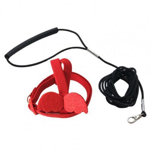 Lange Kabel Vogel Harnas Leash Anti-Bite Training Touw Decoratieve Lichtgewicht Parkiet Papegaai Vest Touw Voor Valkparkiet Kleine Vogels: M / Rood
