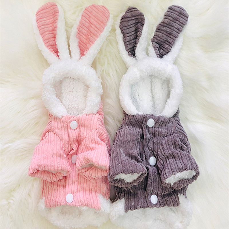 niedlich Hase Kleidung Herbst und Winter Dicke Plus Vlies Warme Kaninchen Kleidung Zwerg Kaninchen Kleine Haustier Kleidung Kleine Haustier Zubehör