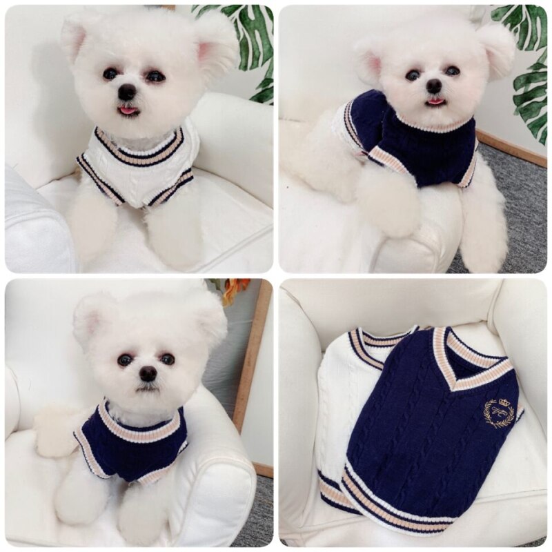 Cat Dog Sweater Coat Chihuahua Miniature Pinscher maltese Shih Tzu Pomeranian Poodle Schnauzer Small Dog Clothes Pet Clothing