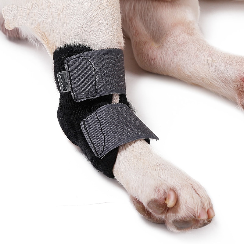 1PC genouillère chien genouillères pour animaux de compagnie récupérer blessure jambes animal jarret orthèse chien protecteur chien jambes arrière protecteur amour chien accessoires