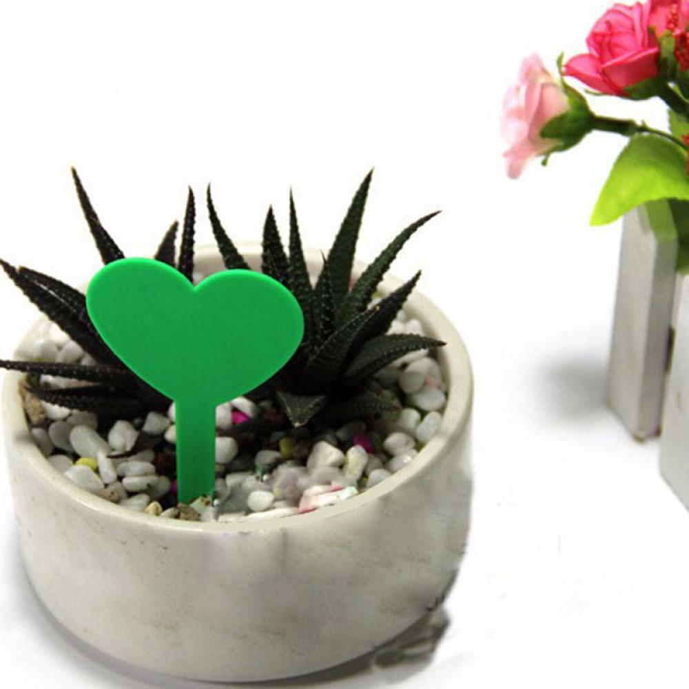 50 stk farverige plantemarkører havebonsai sukkulent frøplanter tags skilt havearbejde etiketter pæl plast plante kærlighed hjerte tags