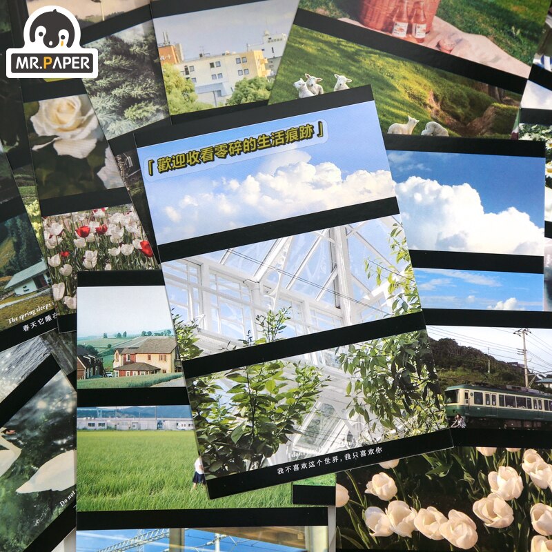 Mr.Paper 30 Pcs/box 2 Designs Sakura Time Traveler Series Ins Style Postcards Writing Greeting Decor Collage Material
