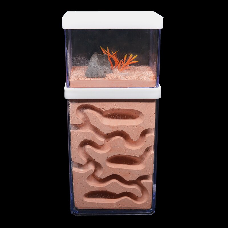 Grote Mier Nest Insect Kasteel Mier Boerderij Met Voeden Gebied Met Landscaping Decoratie Anthill Ecologische Workshop 10*8*16Cm