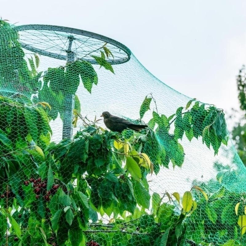 2m / 4mx10m Anti Bird Protect Tree Net Fruit Crop Plant Garden Pond Netting Mesh Garden Netting Plant Support Care Net