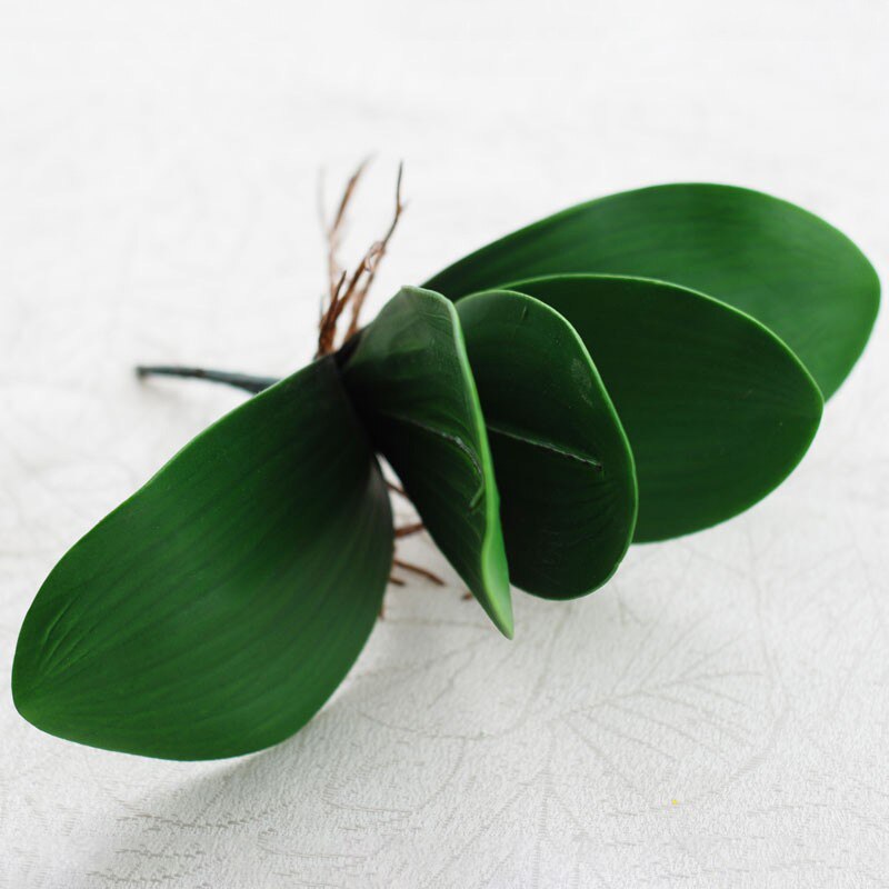 1pc ægte berøring phalaenopsis blad kunstige planter blad dekorative blomster hjælpemateriale blomst dekoration orkidé blade