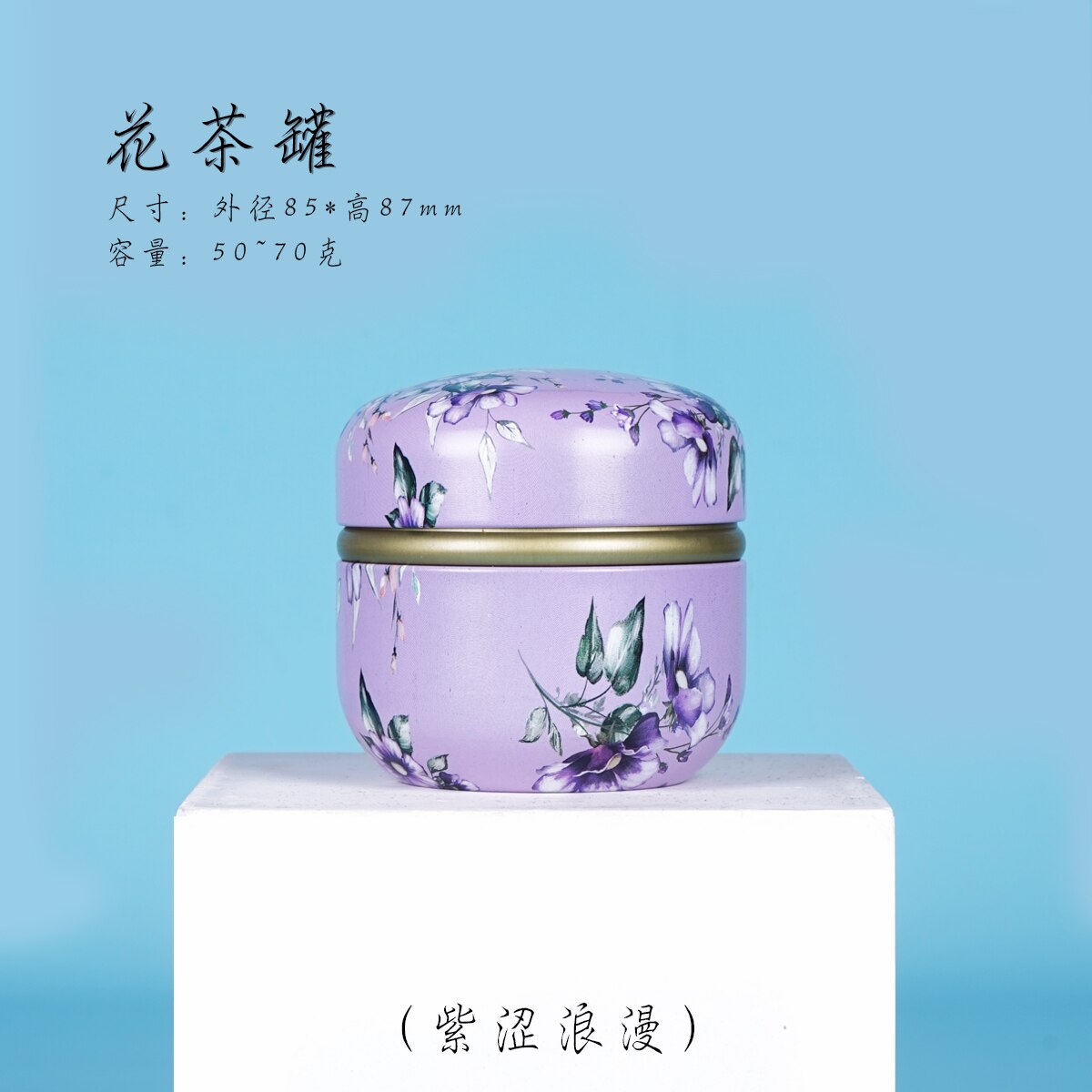 Honden Katten Kleine Huisdieren Crematie Ijzer Urn Dier As Houder Urnen Huisdier Gedenktekens Kist Begrafenis Aandenken Display Thuis Of begraven: Clear