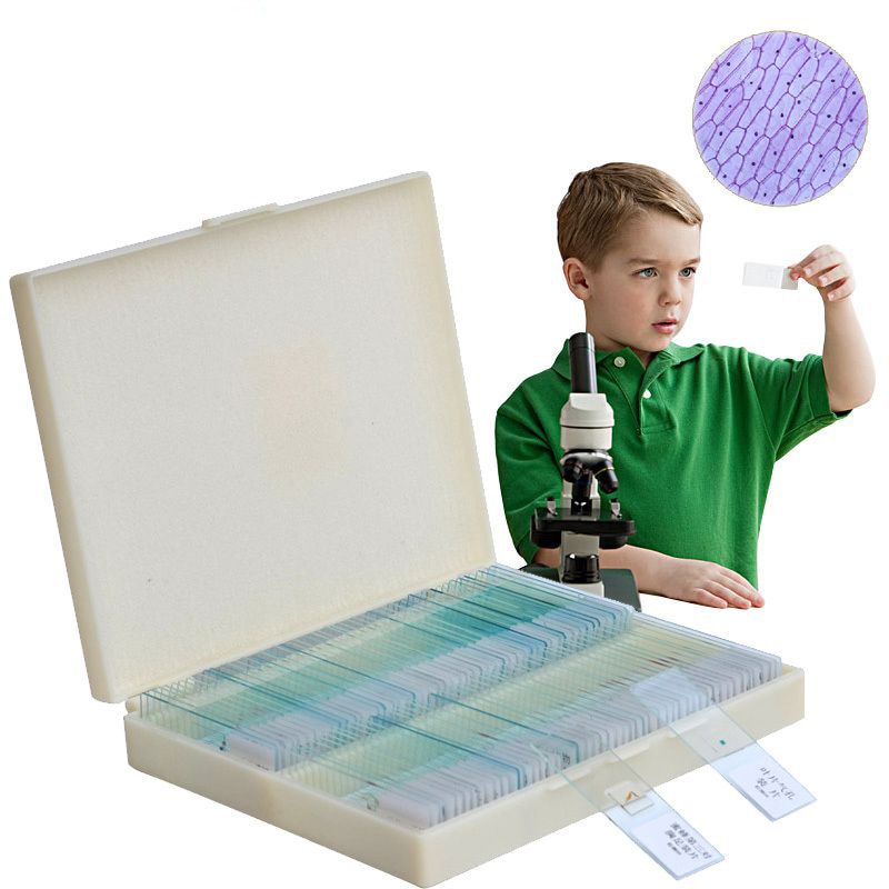 100PCS Box Set Prepared Microscope Speciments Slides for Basic Student Lab Science Biology Education