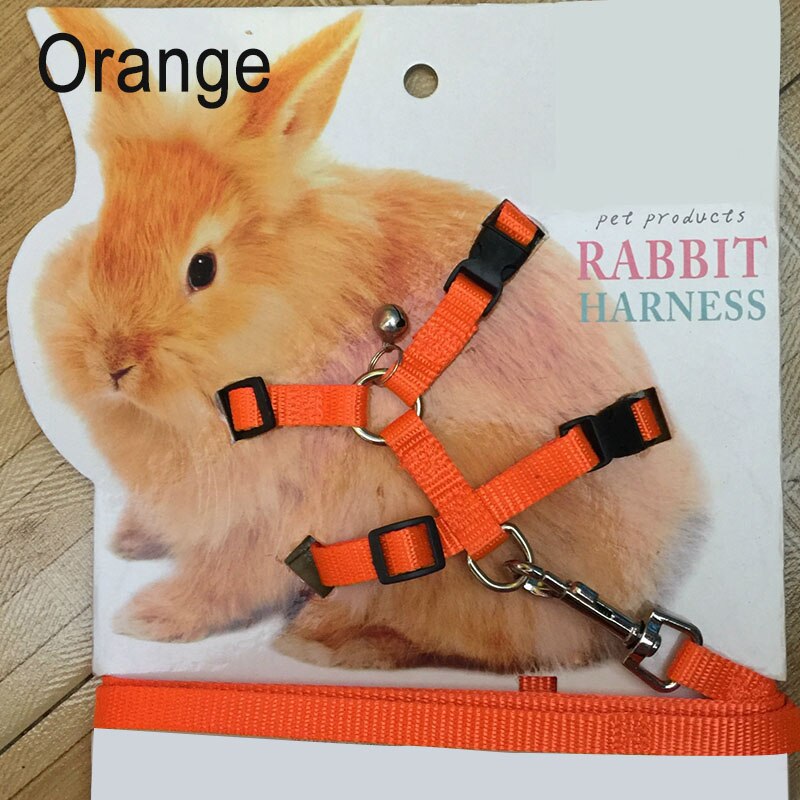 Kæledyr kanin blødt sele snor justerbar kanin trækkraft reb til løbende gang wxv: Orange