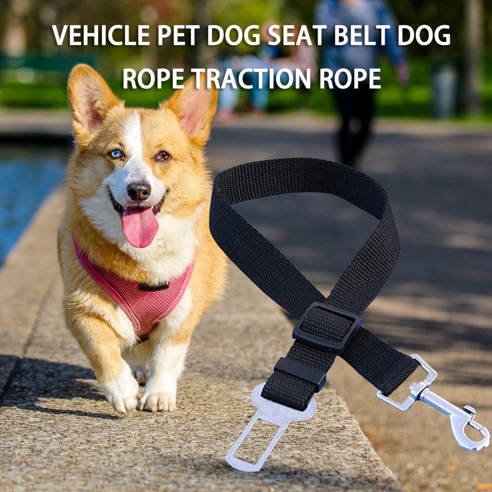 Pet Hond Kat Autogordel Verstelbare Harnas Veiligheidsgordel Lead Leash Voor Small Medium Honden Reizen Clip Dierbenodigdheden