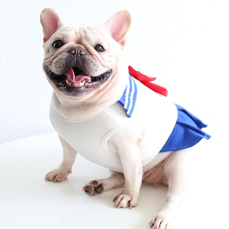 Robe de bouledogue français, Bichon, caniche, Schnauzer, carlin, chien, vêtements Welsh, Corgi, Shiba, Inu anglais, robes pour animaux de compagnie, jupe XS: XXL