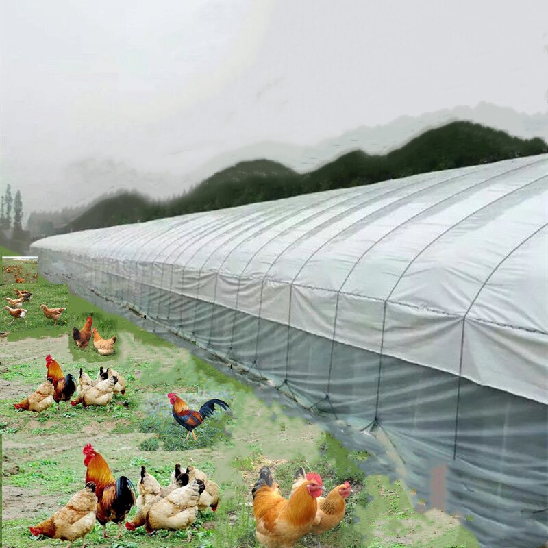 6M Wide Greenhouse Film Thickened Waterproof and Windproof Black and White Plastic Film Agricultural Breeding Insulation Film