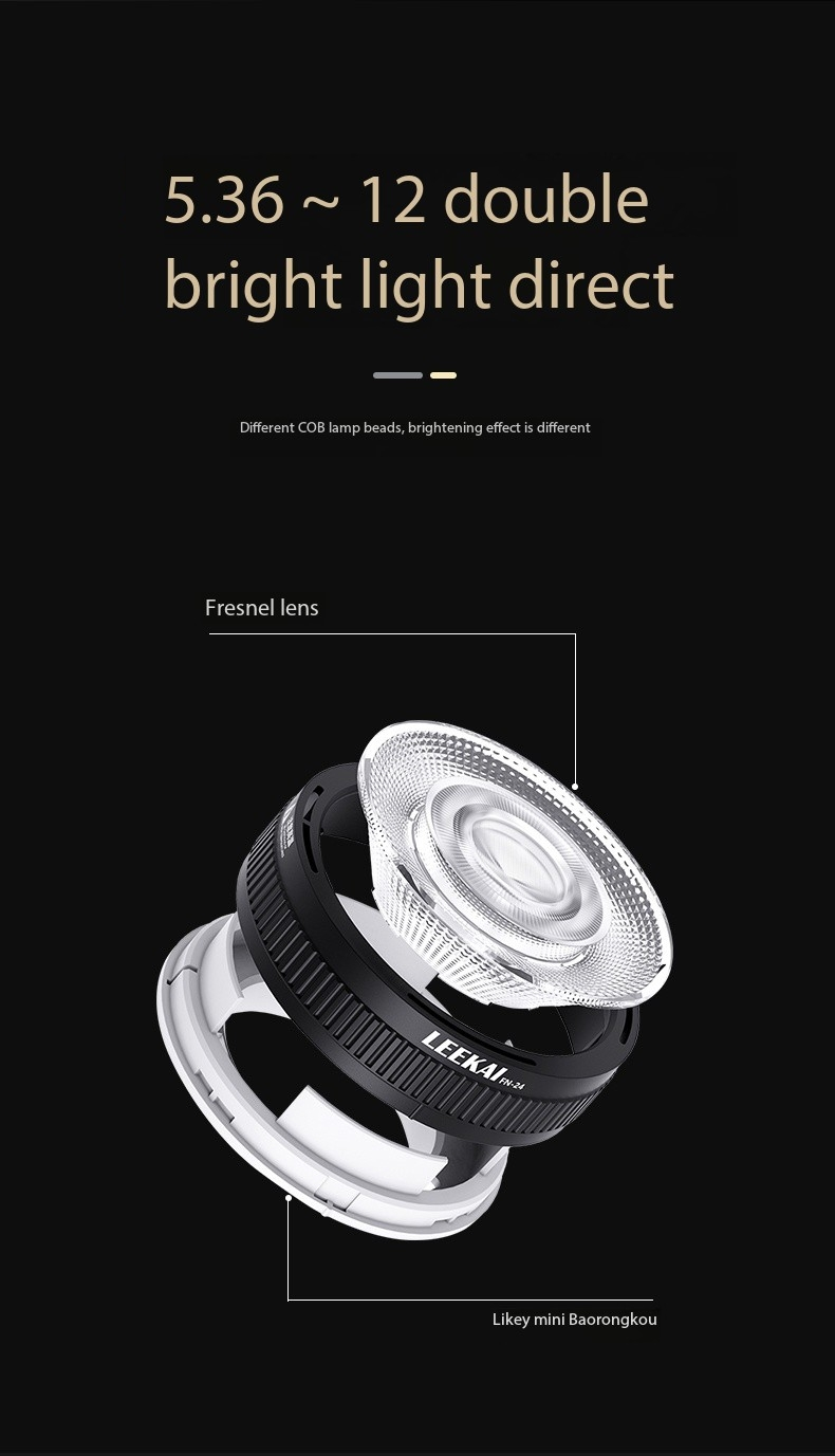 LEEKAI FN24 Lente Fresnel Faretto mini Bowens montare Lente di messa a fuoco per luce video portato pannocchia venire Yongnuo Nanguang Zhiyun luce
