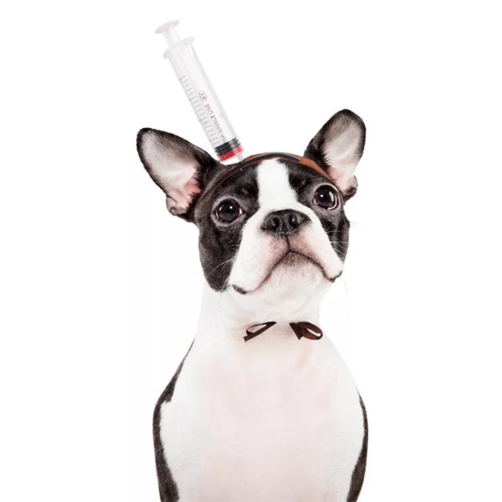 Tocados para perros y gatos, sombreros para Navidad, Halloween, sombreros de Papá Noel, Cosplay, accesorios de vestir S/M: Verde / M