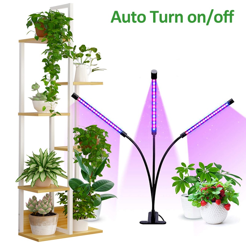Фитолампа LED Grow Light Timer Lamp Voor Planten Zaailingen Phyto Lamp Fitolampy Voor Plant Stand Desk Planten Indoor Groei Lampen